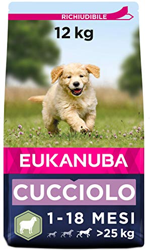 Eukanuba Cibo Secco per Cuccioli di Taglia Grande, Ricco di Agnello e Riso, 12 kg