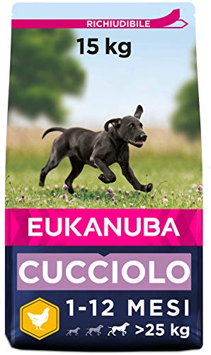 Eukanuba Cibo Secco per Cuccioli in Crescita, per Cani di Taglia Grande, Ricco di Pollo Fresco, 15 kg