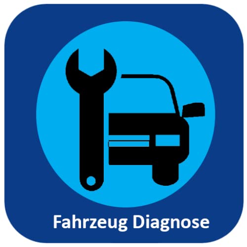 Fahrzeug Diagnose