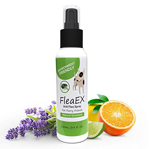 FleaEx Antiparassitario Cani Spray - Repellente Antipulci Cane Bio - Protezione Anti Pulci e Zecche Cani e Gatti - Spray Antipulci per Cani - Antiparassitario per Cani, con Olio di Geranio, 100 ml