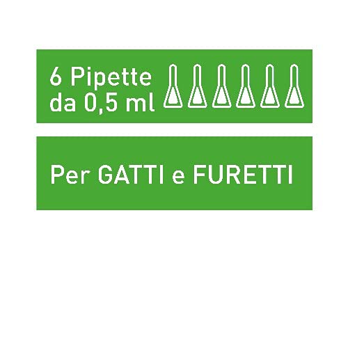 Frontline Combo, 6 Pipette, Antiparassitario per Gatti, Gattini e F...