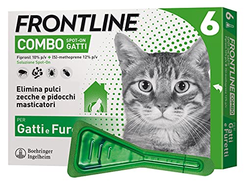 Frontline Combo, 6 Pipette, Antiparassitario per Gatti, Gattini e F...