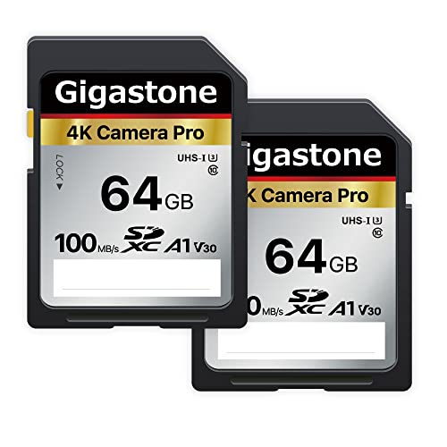 Gigastone Scheda SD 64 GB, Set da 2, 4K Camera Pro, Scheda di Memor...