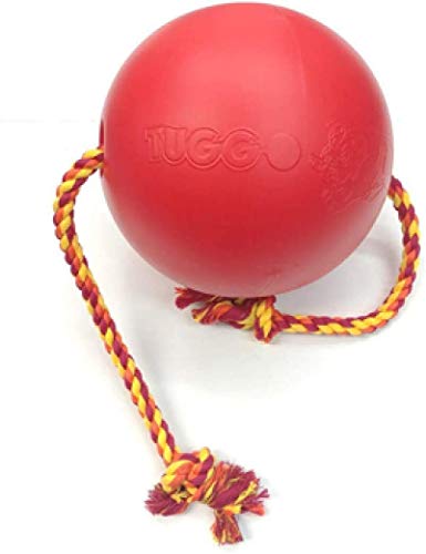 GimDog Tuggo Ball Gioco per Cani in plastica Pesante e Corda di Cotone, riempibile con Acqua (M - 17,8 cm)