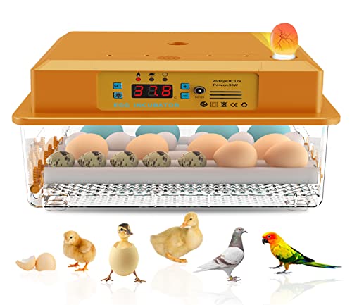 Hethya Incubadora automática de huevo, incubadora de pollos para el hogar, controlador de la granja, 16 huevos
