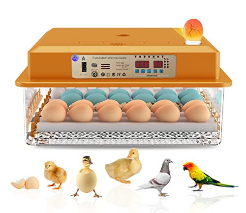 Hethya Inkubator Ei - Incubatore automatico per uova, pollo, Home Controller Farm Egg Incubatore 16-36 uova