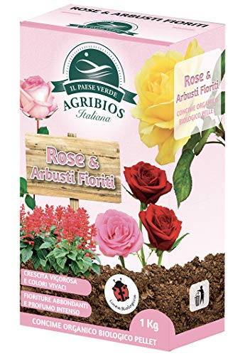 Il Paese Verde Rose E Arbusti Fioriti 1kg - Concime Per Rose Granulare Per Fioriture Abbondanti E Profumo Intenso. Concime Per Arbusti Fioriti Come Glicine, Oleandro, Lavanda, Concime Siepe.