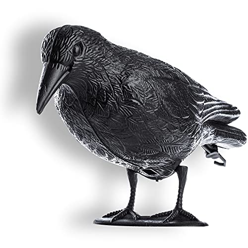 KADAX Corvo nero in Plastica, Spaventa Piccioni, repellente per piccioni in Plastica, Repellente per Uccelli, Spaventapasseri Riproduzione Realistica