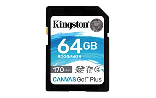 Kingston SDG3 64GB Scheda di Memoria SD (64GB SDXC Canvas Go Plus 170R C10 UHS-I U3 V30)