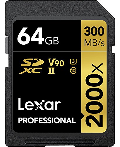 Lexar Professional 2000x Scheda SD 64 GB, Scheda di Memoria SDXC UHS-II senza Lettore, Lettura Fino a 300MB s, per DSLR, videocamera di qualità cinematografica (LSD2000064G-BNNAG)