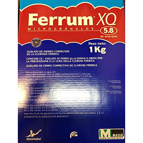 Massò Agro FERRUM XQ 5.8 concime Chelato di Ferro EDDHMA e EDDHA 1 kg correttore della clorosi Ferrica