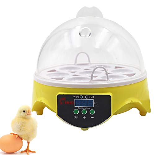 MUALROUS incubatrice uova Digitale Automatico Mini incubatrice per uova gallina 7 Egg Hatcher con Display LCD e Controllo della Temperatura per cova incubazione Uova