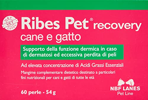 NBF Lanes Ribes Pet Recovery, 60 Perle, 59.7g, Trasparente...