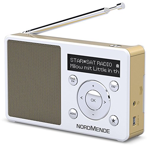 Nordmende Transita 100 - Radio DAB portatile e di ricezione (DAB+, FM, altoparlante, porta cuffie, memoria preferita, display OLED, batteria, piccola, portatile), colore: Bianco
