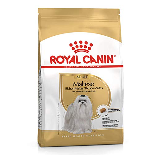 Royal Canin, Maltese 24, cibo secco per cani adulti di razza maltes...