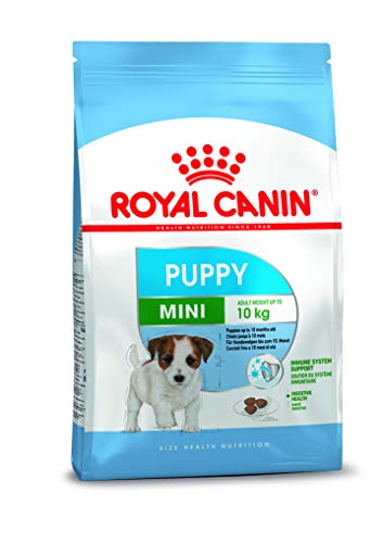 Royal Canin Mini Junior Cibo secco per cuccioli fino a 10 mesi, 4 K...