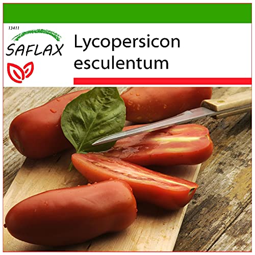 SAFLAX - Pomodoro San Marzano - 10 semi - Con substrato - Lycopersicon esculentum