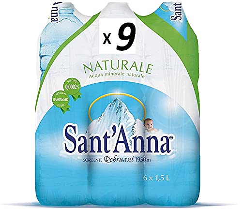 Sant Anna - Acqua Minerale Naturale 1.5L (Promozione Sales & Servic...