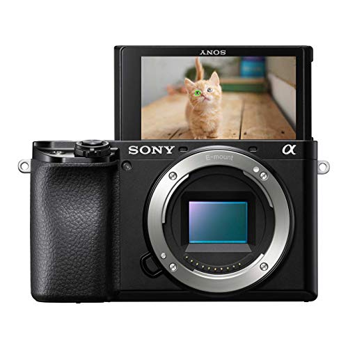 Sony Alpha 6100 - Fotocamera Digitale Mirrorless ad Obiettivi Inter...
