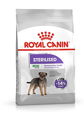 sterilised Royal Canin Mini 1 kg crocchette per Cani sterilizzati e...