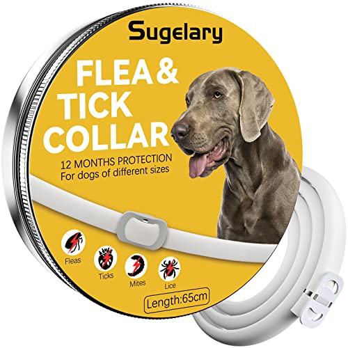Sugelary Collare Antipulci Cane, Collare Antizecche per Cani Impermeabile Adatto a Tutti i Cani Formula Naturale 12 Mesi di Protezione 65cm