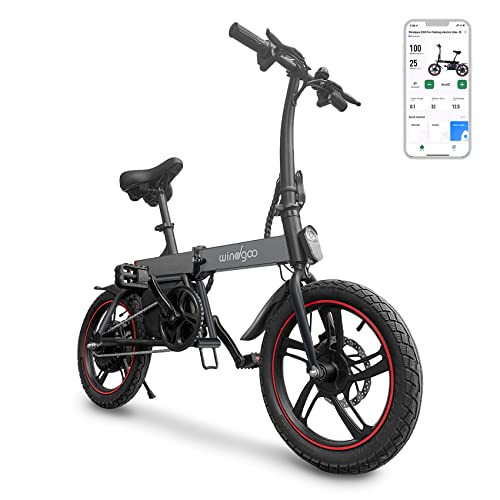 Windgoo B20 Pro Bici Elettrica Pieghevole 16“ città pendolare Bicicletta Elettrica per adulto adolescente Smart APP di controllo E-bike 250W, Max velocità 25km h, Pedalata Assistita