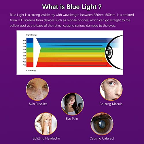 AiMok Rimovibile Filtro Anti Luce Blu Premium per 21.5  Monitor, Pr...