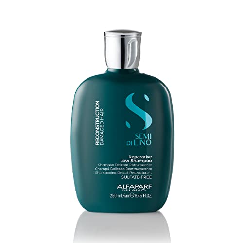 ALFAPARF Shampoo Ristrutturante Per La Cura Dei Capelli E Del Cuoio Capelluto, 250 Millilitro