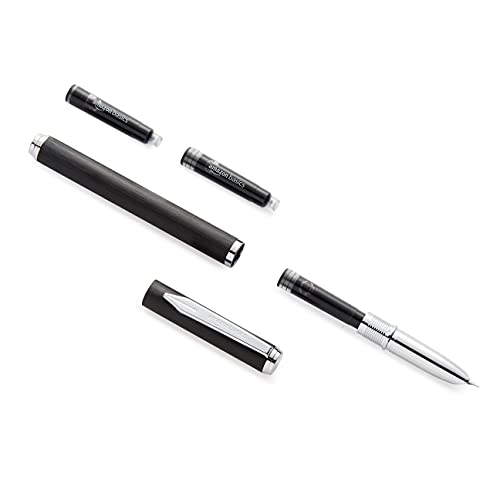 Amazon Basics - Penna stilografica ricaricabile, punta fine, fusto ...