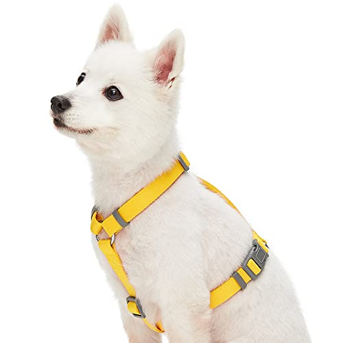Amazon Brand - Umi, Imbracatura Classica Regolabile per Cani, Taglia S, Colore Giallo Tinta Unita, per Uso Quotidiano