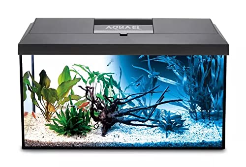 Aquael Leddy - Set per acquario a LED completo con copertura, filtro, riscaldatore, LED Day & Night (60 x 30 x 30 cm, colore: nero