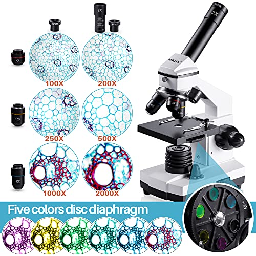 BEBANG 100X-2000X Microscopio per Bambini Studenti Adulti, con Vetr...