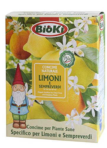 Bioki Concime specifico per Limoni e Piante Sempreverdi, Alta attività  Biologica, 900 g