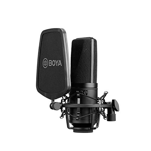BOYA Grande Diaframma Studio Microfono A Condensatore 24 V 48 V Pha...