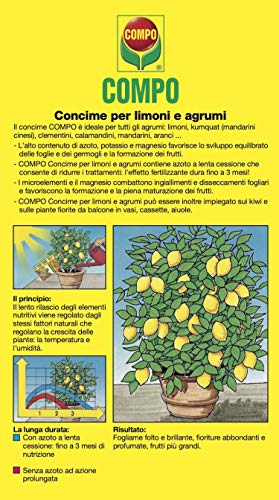 COMPO Concime per Limoni e Agrumi, Con misurino dosatore, 500 Gramm...