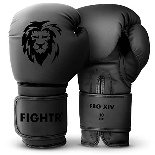 FIGHTR Premium Guantoni da Boxe – Ideali stabilità e Forza d urto | Guanti da Punching per Boxe, MMA, Muay Thai, Kick Boxing & Arti Marziali | con Custodia (all Black, 10 oz)