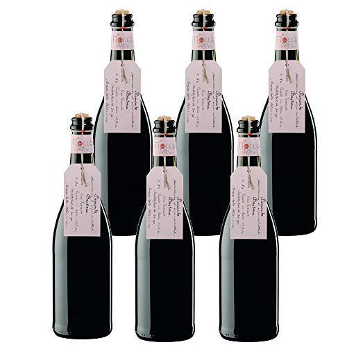 FIOCCO DI VITE Piemonte Doc Barbera Frizzante Fiocco Di Vite Rosso Vino Frizzante - 6 Bottiglie - 6x75cl