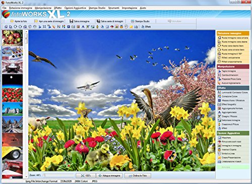 Fotoworks XL (2023) - Programma fotoritocco, software fotografia di...