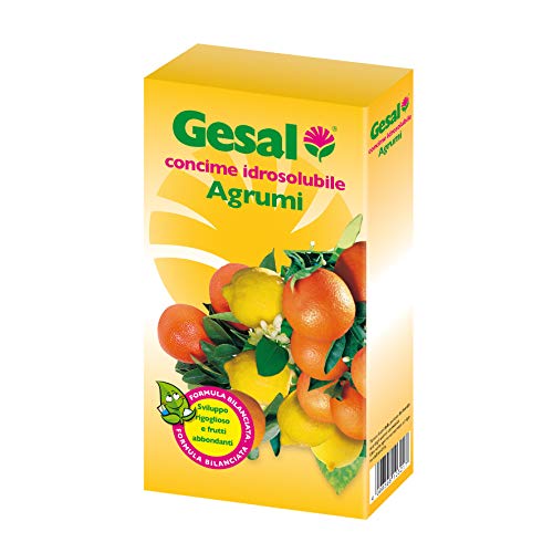 GESAL Concime Idrosolubile Agrumi, Per uno Sviluppo rigoglioso e Frutti abbondanti, 350 g