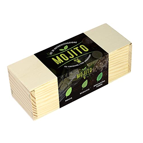 Kit di autocoltivazione Mojito: Menta, basilico e menta piperita.