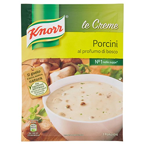 Knorr Crema Funghi Porcini, 100g