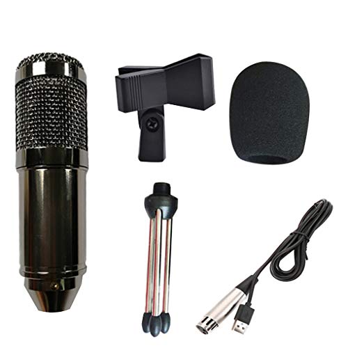 Microfono a condensatore professionale USB di alimentazione con cavo KTV microfono con cavo di registrazione microfono con cavo di registrazione KTV Karaoke Mic
