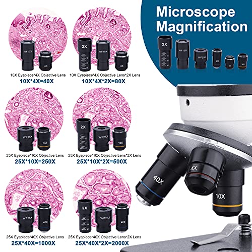 Microscopio monoculare 40X-2000X per studenti adulti,microscopio pr...