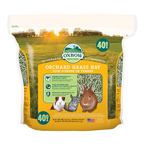 Oxbow Orchard Grass - Fieno per piccoli animali, 1130 gr
