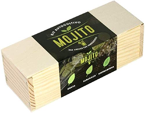 Resetea Mojito - Kit di montaggio automatico (menta, basilico e menta piperita, 1
