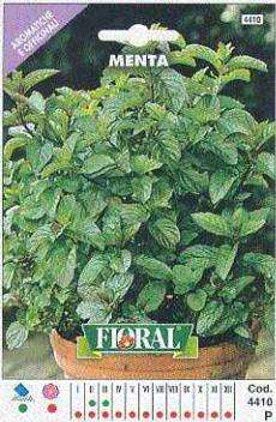 Sementi di piante aromatiche e officinali in bustina ad uso amatoriale (MENTA)