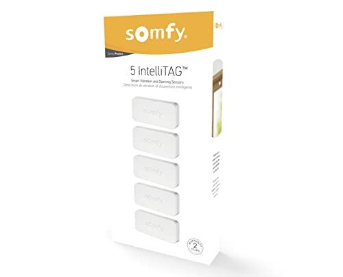 Somfy Kit da 5 IntelliTAG 2401488 Sensori Antifurto wi-fi di sicure...