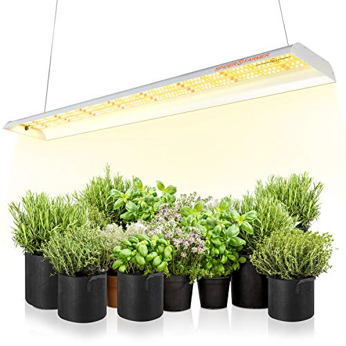 Spider Farmer SF600 Lampada da coltivazione per piante indoor Spettro solare Completo per Germinazione Vegetativo Fioritura Idroponica con 384 LED