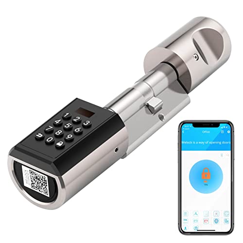 WE.LOCK PB Serratura Smart,serratura porta blindata con password e Bluetooth APP,serratura elettronica wifi,smart lock facile da installare