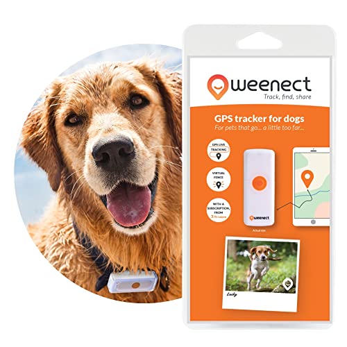 Weenect Dogs 2 -Il collare GPS cani più piccolo al mondo